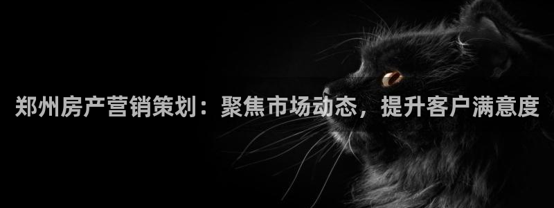 必赢棋盘app下载
