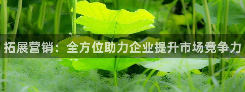 必赢437官网