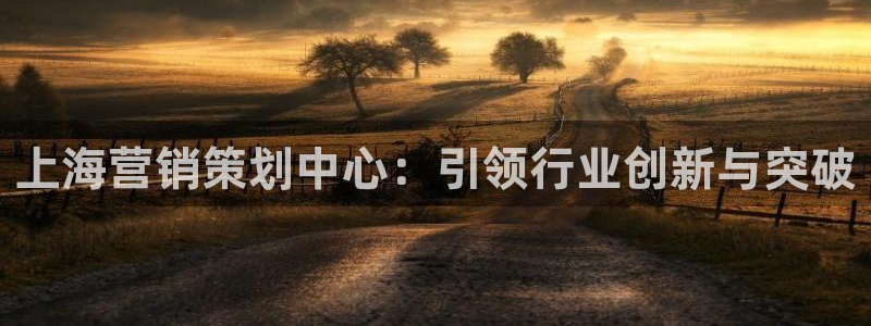 9965必赢游戏版本：上海营销