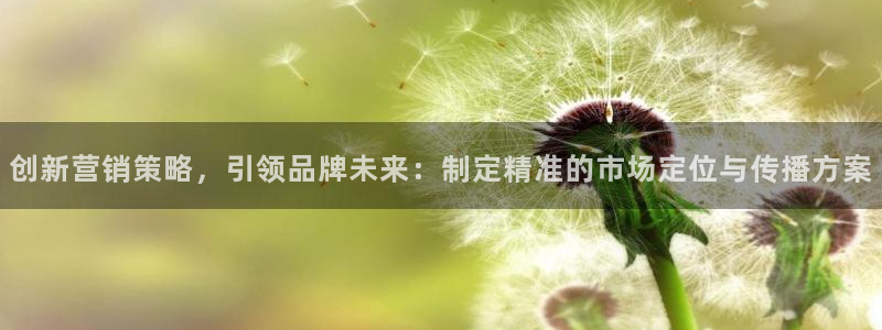 必赢平台官方：创新营销策略，引