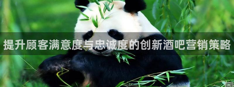 9965必赢苹果下载