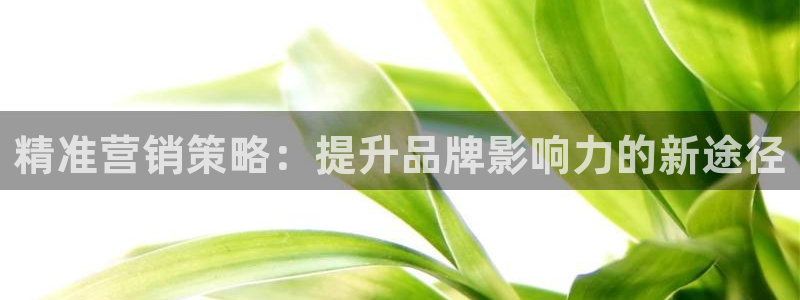 必赢手机版：精准营销策略：提升
