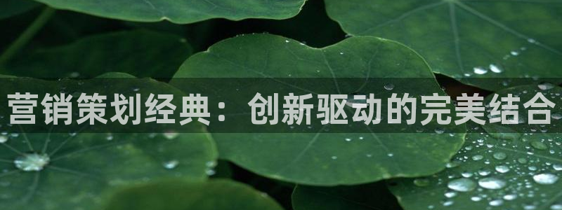 必赢官网下载安装