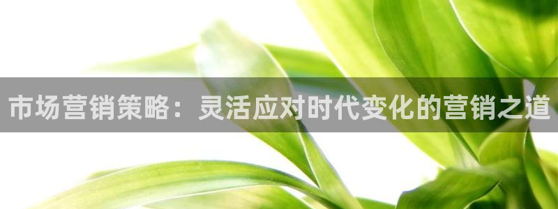 必赢官网app下载安装手机版最