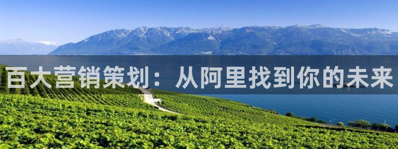 必赢88：百大营销策划：从阿里