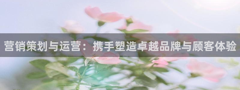 必赢7231：营销策划与运营：