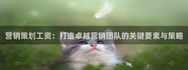 必赢网站平台登录