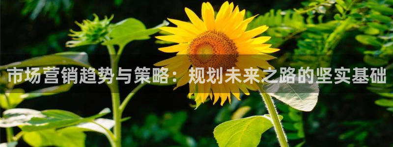 必赢8111e