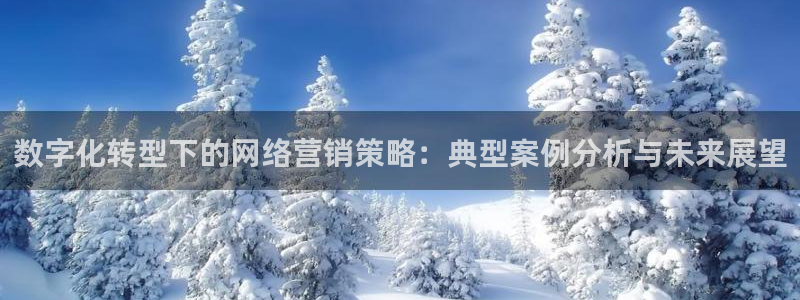 必赢3003+会员账号