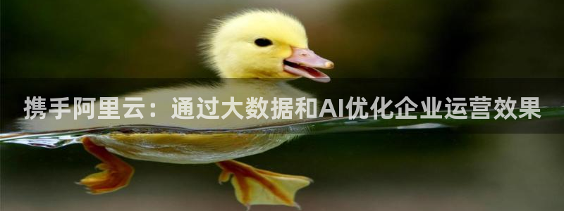 必赢手机app下载安装