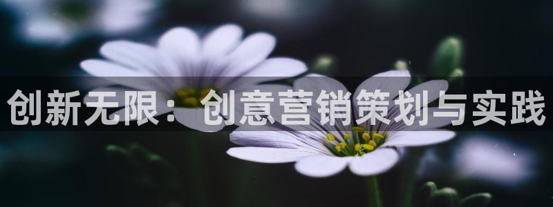 必赢官网app下载苹果版