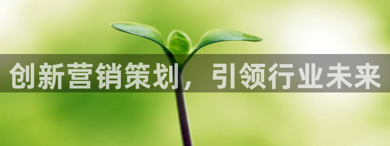 必赢网站是哪一个平台：创新营销