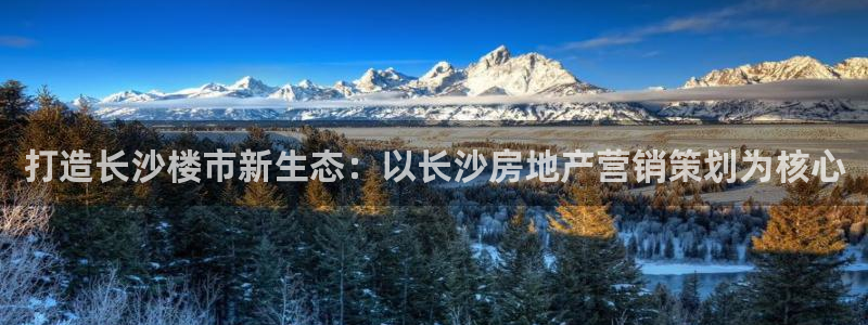 必赢手机app下载最新版本安装